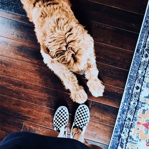 Meet your Posher, Sophia